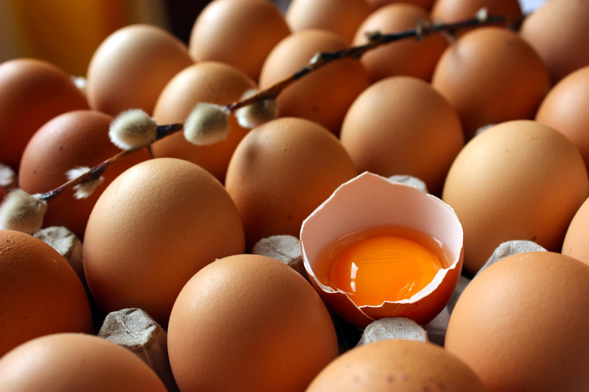 ФАС проверит 12 производителей куриного мяса и яиц из-за роста цен